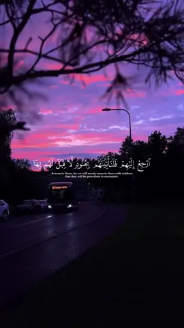 النمل - #ياسر_الدوسري #قران_كريم #quran_alkarim 