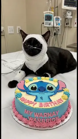 #cats #happybirthday #catsoftiktok #viral #fyyyyyyyyyyyyyyyy 