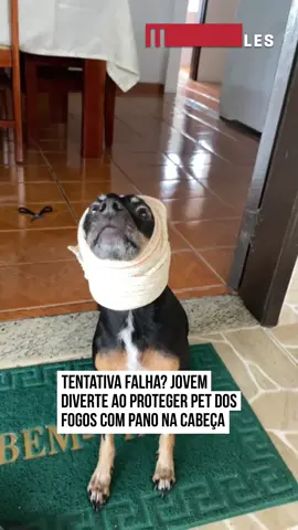 😂🐶 A jovem Juliany Lopes, do #EspíritoSanto, conquistou a internet ao compartilhar um #vídeo hilário do cachorro dela com uma atadura de pano enrolada na cabeça. Segundo ela, a ideia veio de uma dica que ouviu sobre proteger os ouvidos dos pets durante a queima de fogos. Mas, ao ver o resultado, resolveu brincar: “Acho que não deu certo”, disse, rindo da cena do cãozinho com o tecido todo embolado. O vídeo fez sucesso entre os #internautas, que se divertiram e se identificaram com a tentativa de cuidar dos bichinhos durante as festas de fim de ano: “Ele tentando ouvir pelo focinho, tadinho!”, brincou um perfil.  #EntretêNews O que acharam desse improviso? 📹 @__Julianytatagiba (ig) | @myhoodbr