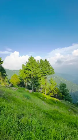 Beautiful view of kashmir #kashmir #fazikashmiri #bagh #foryou #explorekashmir #standwithkashmir #standwithkashmir_foryou_viral #gangachoti_bagh_azad_kashmir😍😍🥰 #kaahmiri 