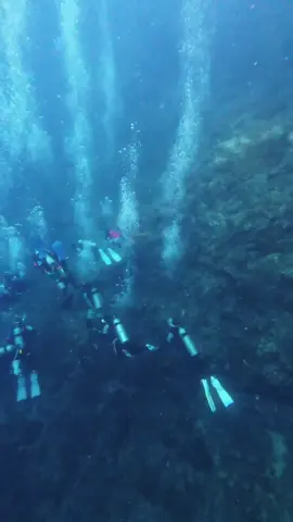 Second day open water certified fun dive 🥰 #scubakingdomacademy #chewanscuba #divingchallenge 
