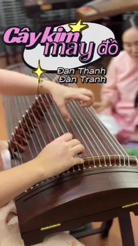 🎶 Lấy cây kim may đồ 🎶 bằng Guzheng với mình thôi mọi người ơi 🫶 Mang đến một chút hài hước và dễ thương cho mọi người, hãy ủng hộ mình và diễn viên phụ họa đã diễn hết mình nhé 😂 #danthanhdantranh #guzheng #hocdantranh #caykimmaydo #muoncuaanhlambo 