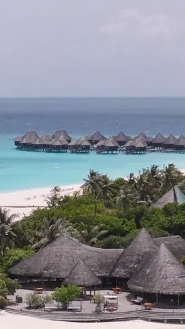 Here, time drifts away, shoes slip off, and worries forget your name. 📍: Coco Palm Dhuni Kolhu  #TravelTradeMaldives #MaldivesVirtualTour #Maldives #VisitMaldives #Explore 