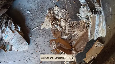 My Abandoned Home: I Found A SKELETON!! (Ep. 39) #07