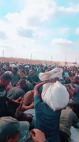بس شارع طينه الأمريكية 