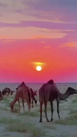 سلم على اللي في الظروف محسوب  #شعر #شعر_وقصائد #محايل_عسير_ابها_الجنوب_رجال_المع_ #حلاوة_اللقاءforyoupage #حايل #تبوك #الرياض_جده_مكه_الدمام_المدينه #الدمام_الخبر_الشرقيه_الاحساء_الهفوف #المخواه #خليص_الدف_ثول_غران_عسفان #fy #الشعب_الصيني_ماله_حل😂😂 