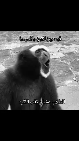 ههههههههههههههههههههههههههههههههههههههههههههههههههههههههههههههههههههههههههههههههههههههههههههههههههههههههههههههه #ذبات #foryou #fyp #الشعب_الصيني_ماله_حل😂😂 