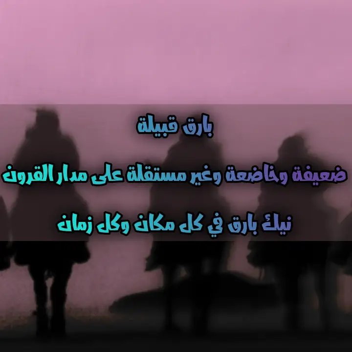 #زهران_العناصي #بارق_والطيرْ_يطارق #fyp 
