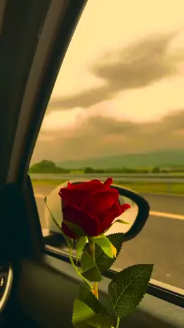 sabr,silence and smile 🧸✨ #CapCut #capcuttemplate❤️ #fy #fyp #foryoupage 