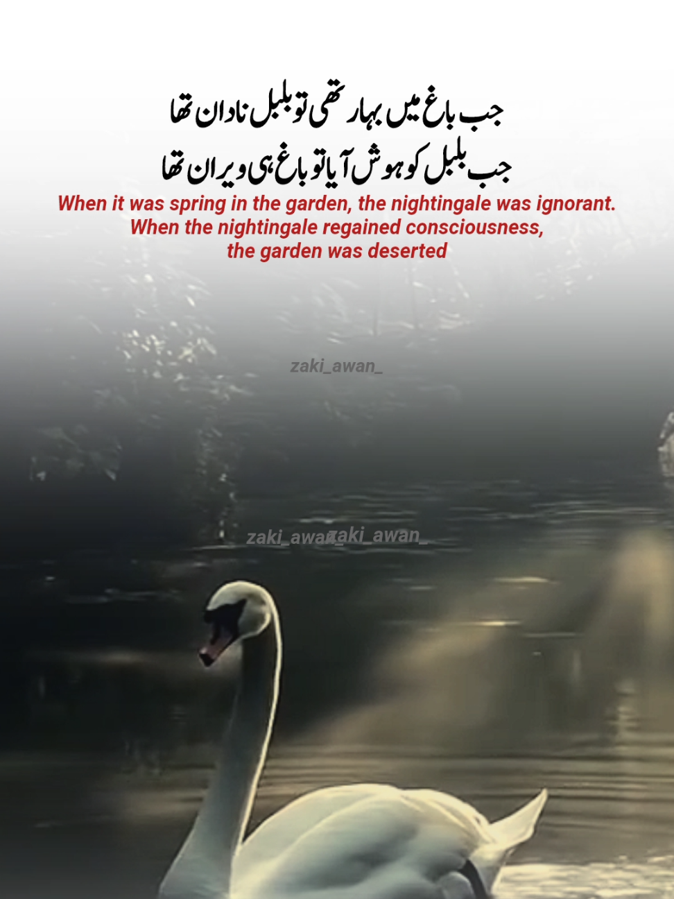 #creatorsearchinsights #poetry #shayri #🇵🇰🇵🇰🇵🇰 #zaki_awan_ 