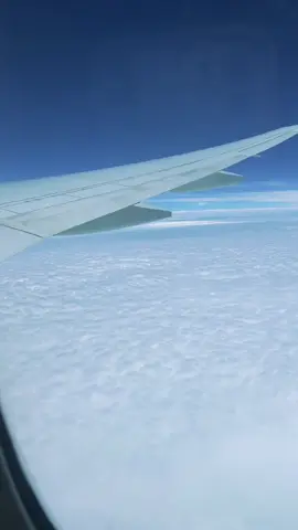 Traveling to Germany in Business class on Emirates 🛫😌#travel#Airoplane#emirates🇦🇪 