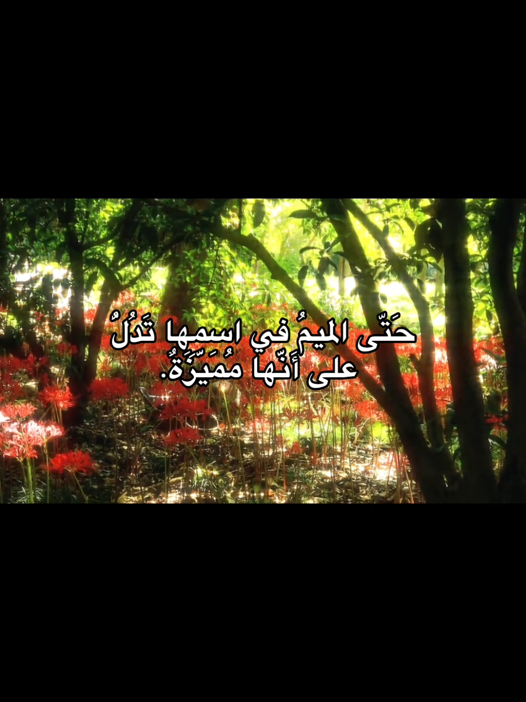 #اقتباسات #عبارات #lovequotes #spidey  #foryoupage 