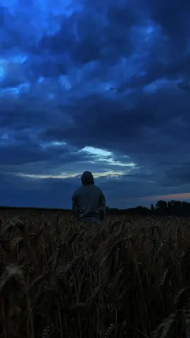 Alone🖤 . . . . . #alone #nature #sunset #vibes #fyp 