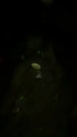 #@Asky🛠🚜 @Naseem  