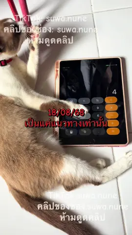 ลงก่อนดีกว่า วันนี้วันดี🙏รอบ18/08/68 #เป็นแค่แนวทางเท่านั้นนะคะ #ไม่ถูกอย่าว่ากันนะคะ #ขึ้นฟีด #fypシ゚viral #ทาสแมว 