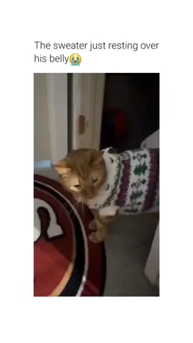 Kittysaurus #funny#cat#meme  original video by @jojo_6862 