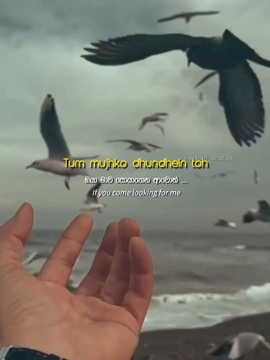 khud ko bhi main kho bethii🦋💫🥀😔...,#tumbin_mein_dekhutoh_kyasekya_hobethe #trending #fypシviral #tumkojokhoyatohkhudkohikhobathi #kyasekyahobaithi💗🙂 