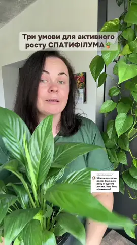 Відповідь користувачу @Марина  Ґрунт для спатифілума -  @Квіткарка Інна💚💜  #квіткарка_інна #квіти🌺🌸🏵️ #комнатныерастения #грунт #рослини 