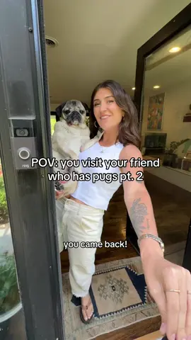 PART 2! POV: you’re visiting your friend who has pugs It’s the sneezing in the face for me. #pug #dogmom #pugsoftiktok #dougthepug 