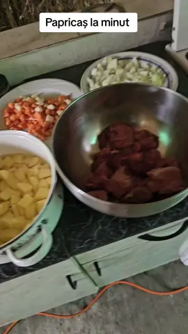 Rețetă rapidă de papricaș în oala sub presiune. poate fi de porc sau de vită, poate fi cu morcovi /pătrunjel sau fără, poate fi cu cartofi sau cu găluște de făină ori cu ambele.