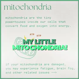 my little mitochondria rm: @Sylly𐙚 #kpopdemonhunters #biology #revision #stem #studytok 