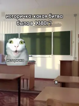 Куликовская кстати  #fyp #recommendations #скоровшколу #мем #белый кот #школа #история  #историчка 
