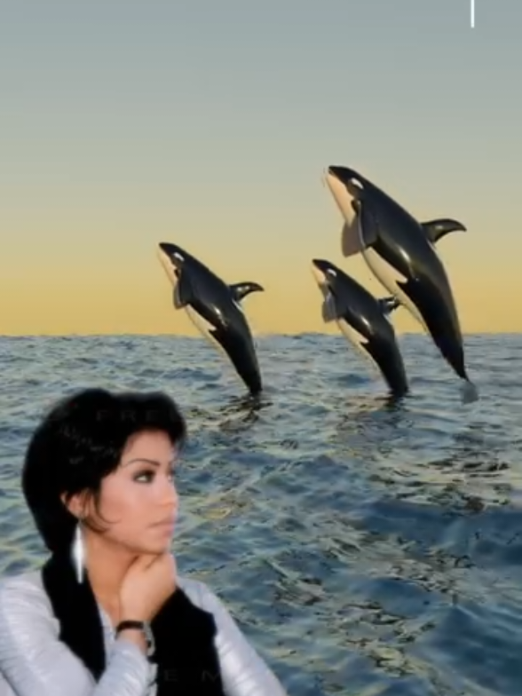 الاغاني بشكل تاني 😂 #شيرين_عبد_الوهاب #sherine #funny #viral #fyp 