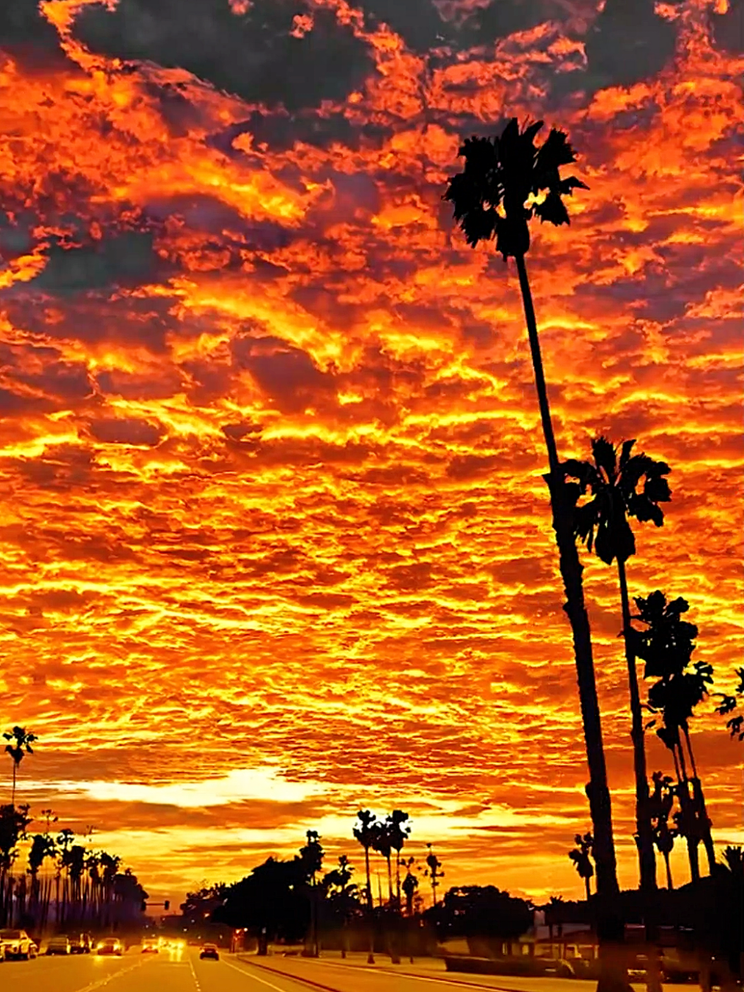 Red fire on the sky #sunset #cloud #beautifulsky #viral #fyp #foryou #viralvideo 