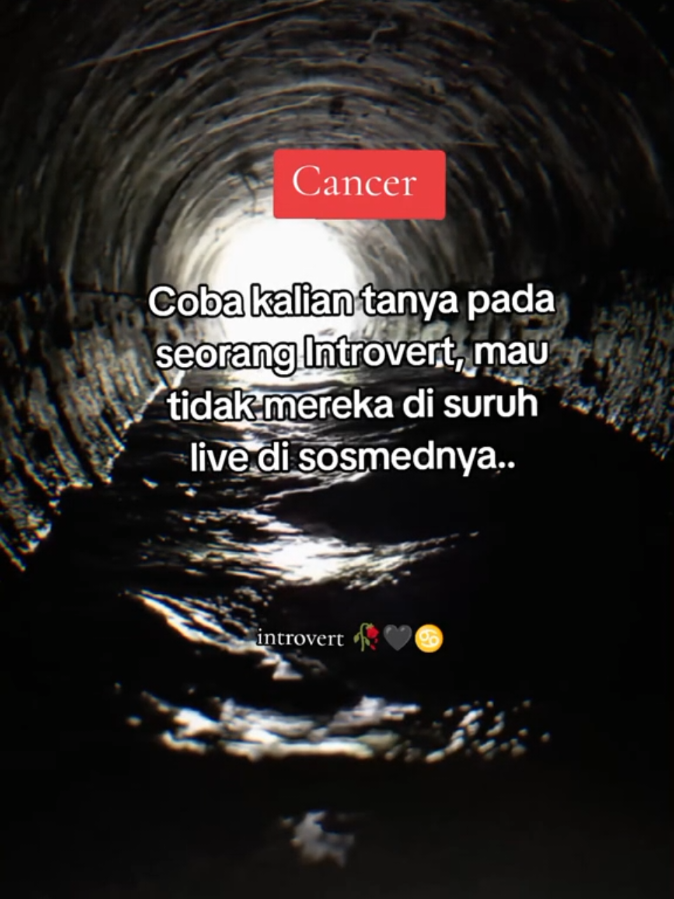 jangankan live, foto dengan orang terdekat sekalipun ga akan mau dia, kalaupun mau mereka hanya menghargai seseorang yang memintanya saja.. 😎🙏 #cancer #introvert 