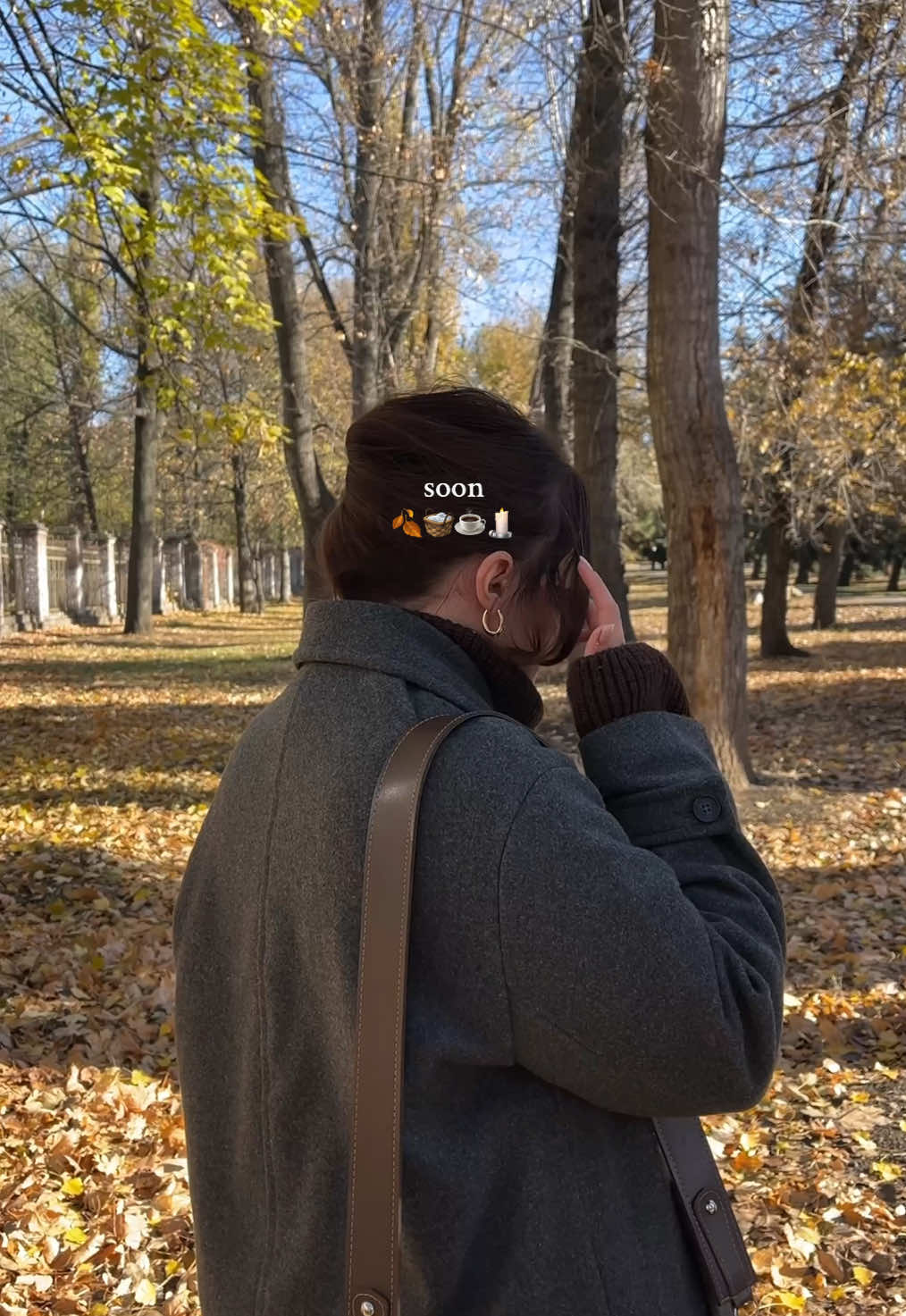 #autumn #fall #fallinlove #life #vibe 