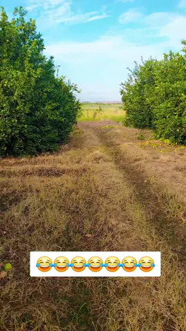 #اسرع_عين_في_العالم 😂😂😂😂😂😂😂😂😂😂😂😂😂😂😂😂😂 #نهر_النيل_العالياب_شندي_العالياب_الزيداب_الدامر #الشعب_الصيني_ماله_حل #الشعب_الصيني_ماله_حل😂😂 