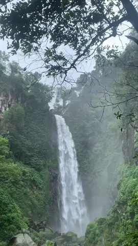 #เธรดเพลงเพราะシ🤍 #บรรยากาศชิวๆ #yfp 