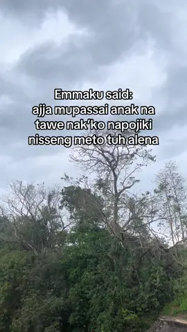 nisseng meto tuh alena#bugissulawesi #bugisbarru #barru 