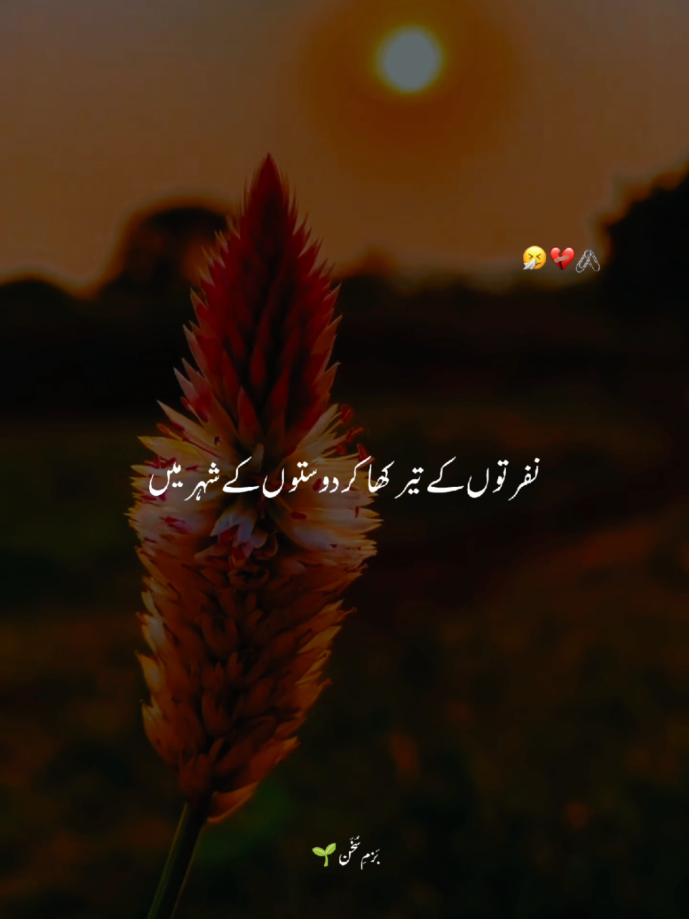 ہم کو کس کے غم نے مارا یہ کہانی پھر سے🥹🥀❤️‍🩹 #بَزمِ_سُخَن #foryoupage❤️❤️ #urdupoetry #shayari #urduquotes 