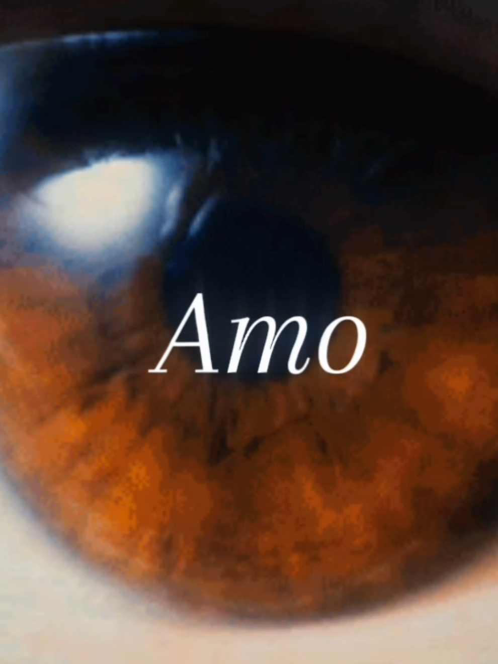 lyrics áudio, eu amo muito #lyrics #Love #dedicate #fyp 