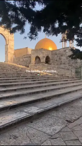 🇵🇸 always in our hearts #palestine #beautifuldestinations #fyp #freepalestine #palestine🇵🇸 