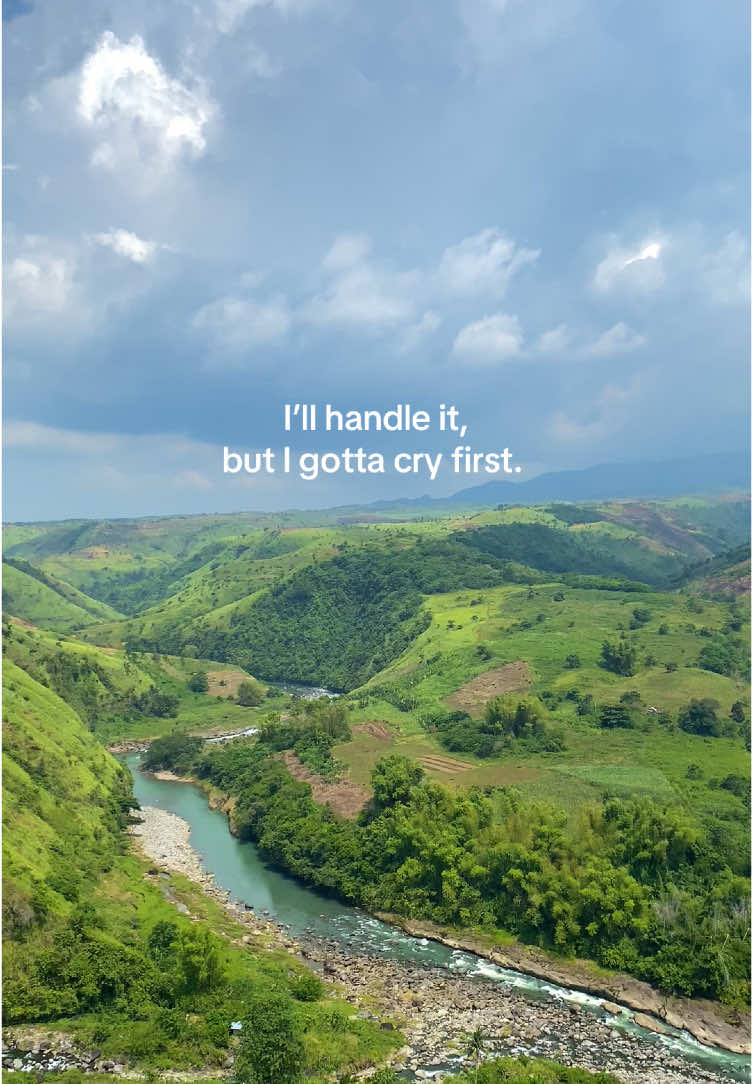 #mountainview 