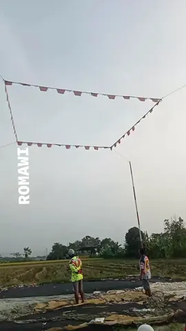 #merpatikolongmeja #salam_fyp #merpatikolongindonesia  #merpati_lovers #pengikuttiktok 