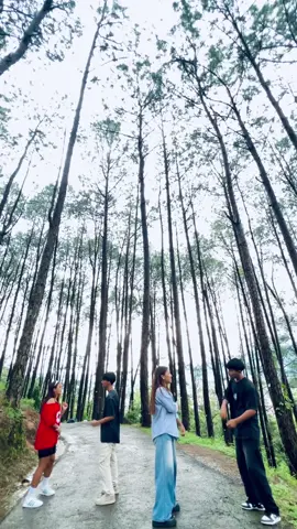 #malang #song #❤️ #haha #justtry 