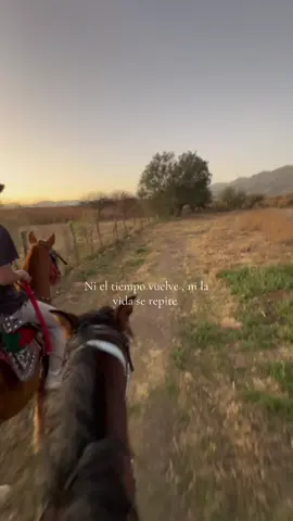 Un buen atardecer #bolivia🇧🇴 #tarija🇮🇩 #caballos #sellamendez #vir 