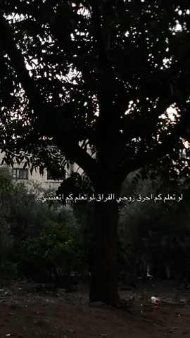 #عبارات #عباراتكم_الفخمه📿📌 #شلون_انساك #اقتباس #زارني_والشوق_في_عينه🥹💔 