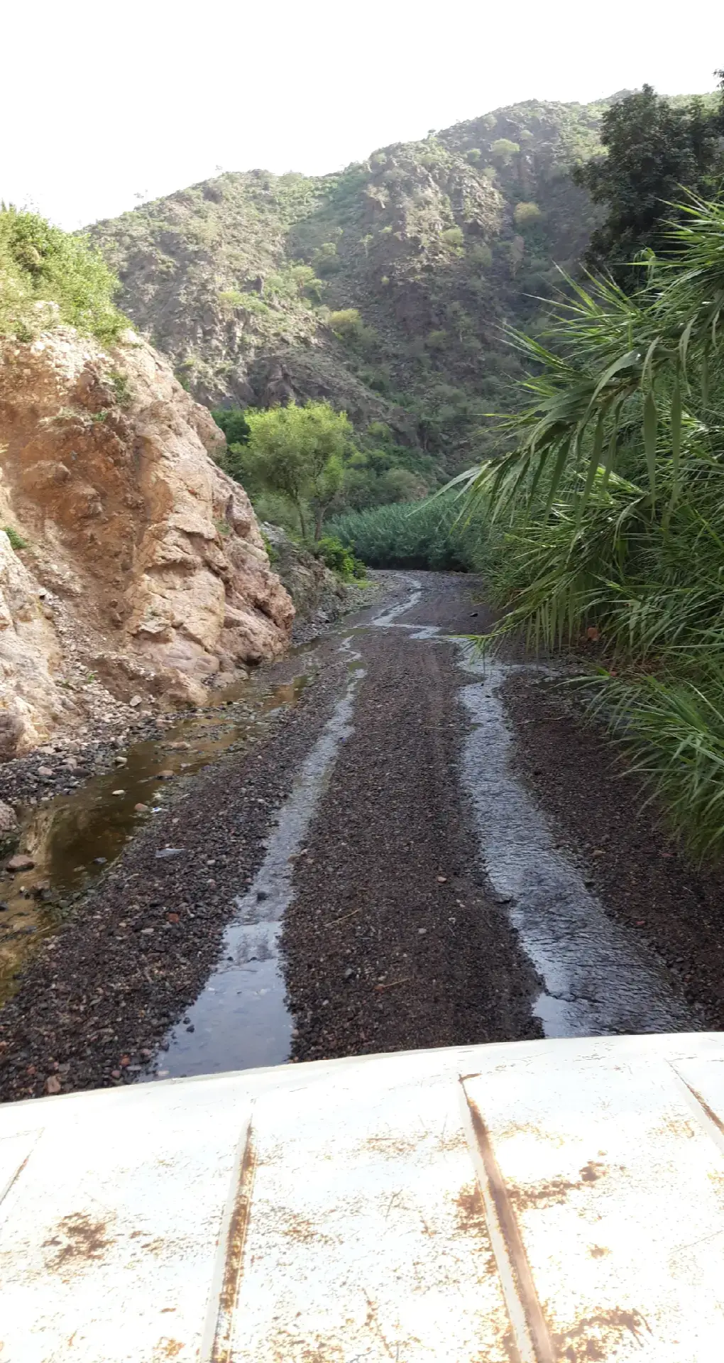 #مجرد________ذووووووق🎶🎵💞 