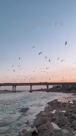 #foryou #kurdistan #qazay_xabat #erbil 