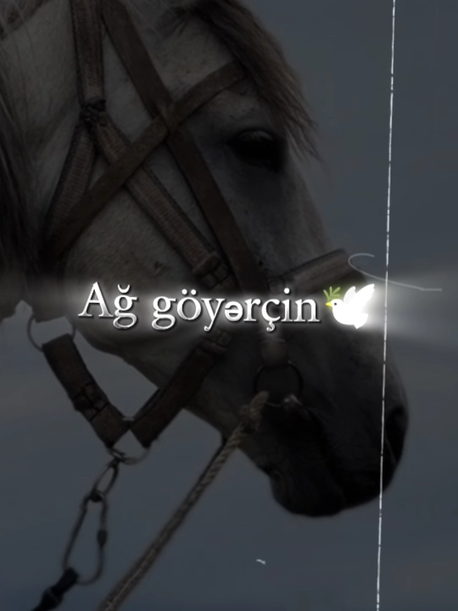 Mənimlə getmiyəcək bu dünya🥀#zəlimxanyaqub #dünya #ölüm #şeir 