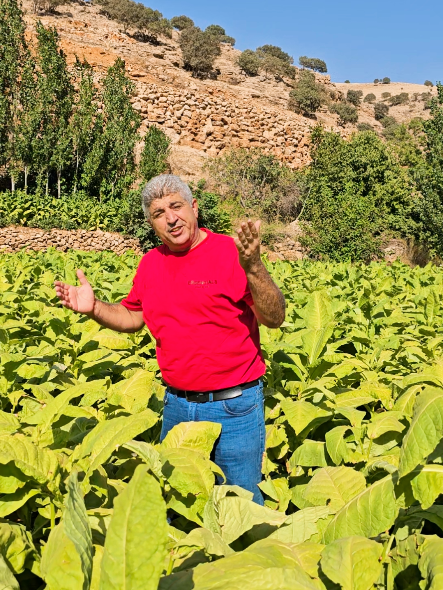 ĞÜRS TAN BÜTÜN YÜREĞİ GÜZEL İNSANLAR A GELSİN