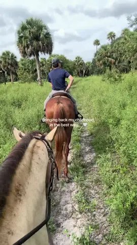 #horses #horsegirl #horserider #fyp 