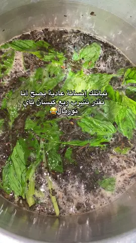 #explore #fyppppppppppppppppppppppp #algeria #❤️ 