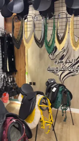 #خيل_وخياله🐎 #فروسية #حصان #الجوهرة_الأولى_للفروسية #مستلزمات_خيل 