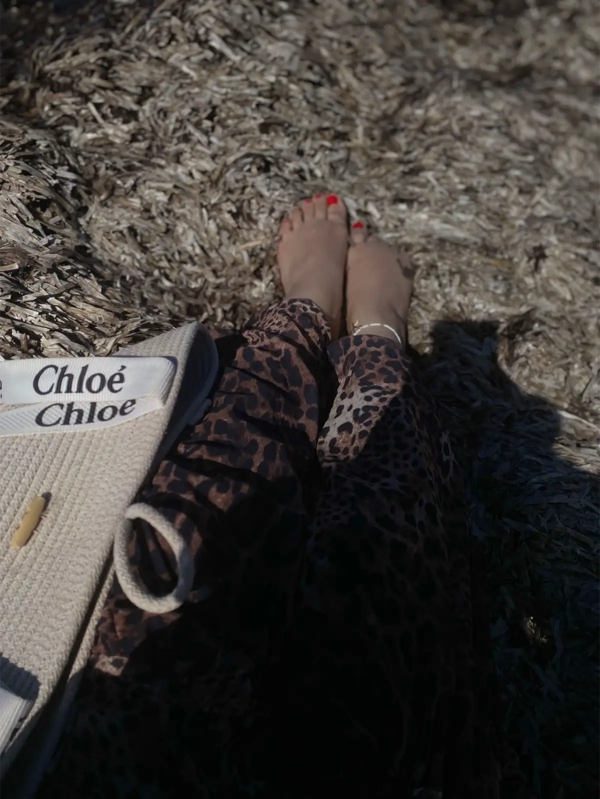 #summervibes  #sunshine #Egypt🇪🇬 #libya🇱🇾  🤎☀️🐆