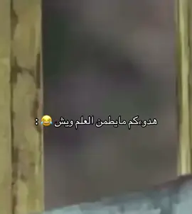 #تيم_ريتش #الشعب_الصيني_ماله_حل😂😂 #حركت_الكسبلور❤️😂💬 #fypシ 